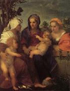 Andrea del Sarto Madonna and Child with St.Catherine China oil painting reproduction